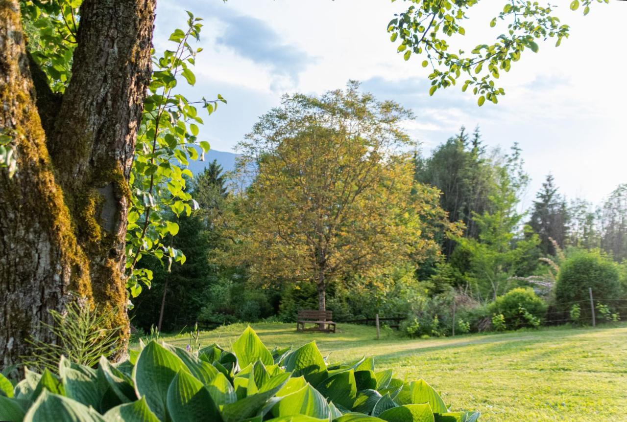 Gartenlodge Auszeit Nötsch Eksteriør billede